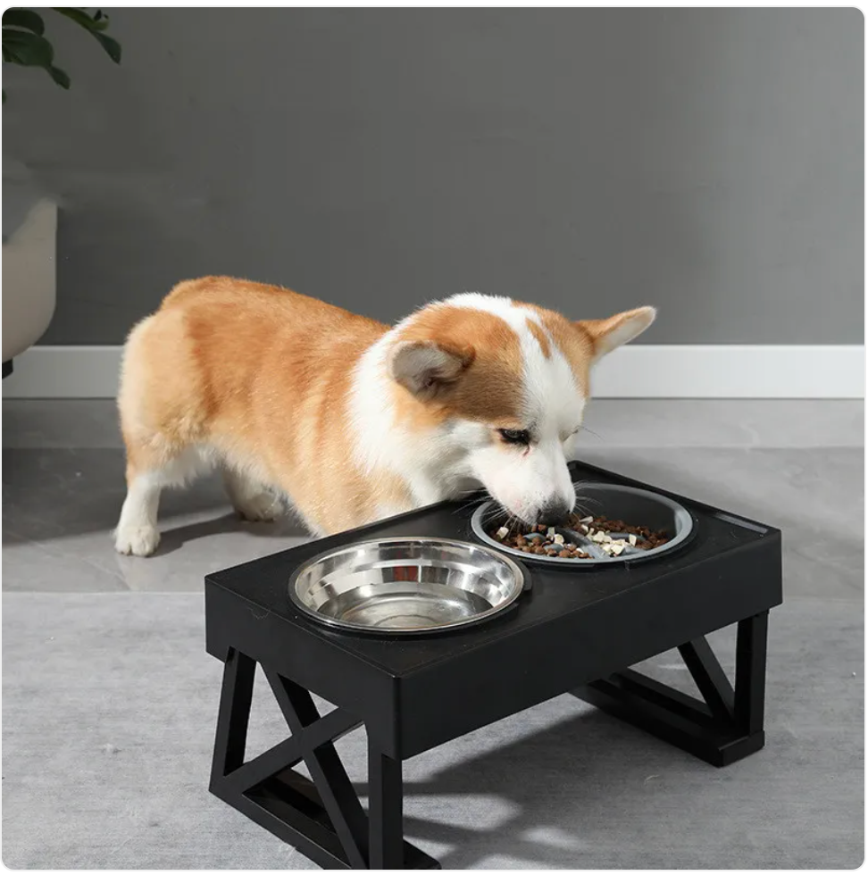 Adjustable Elevated Slow-Feed Dog Bowl
