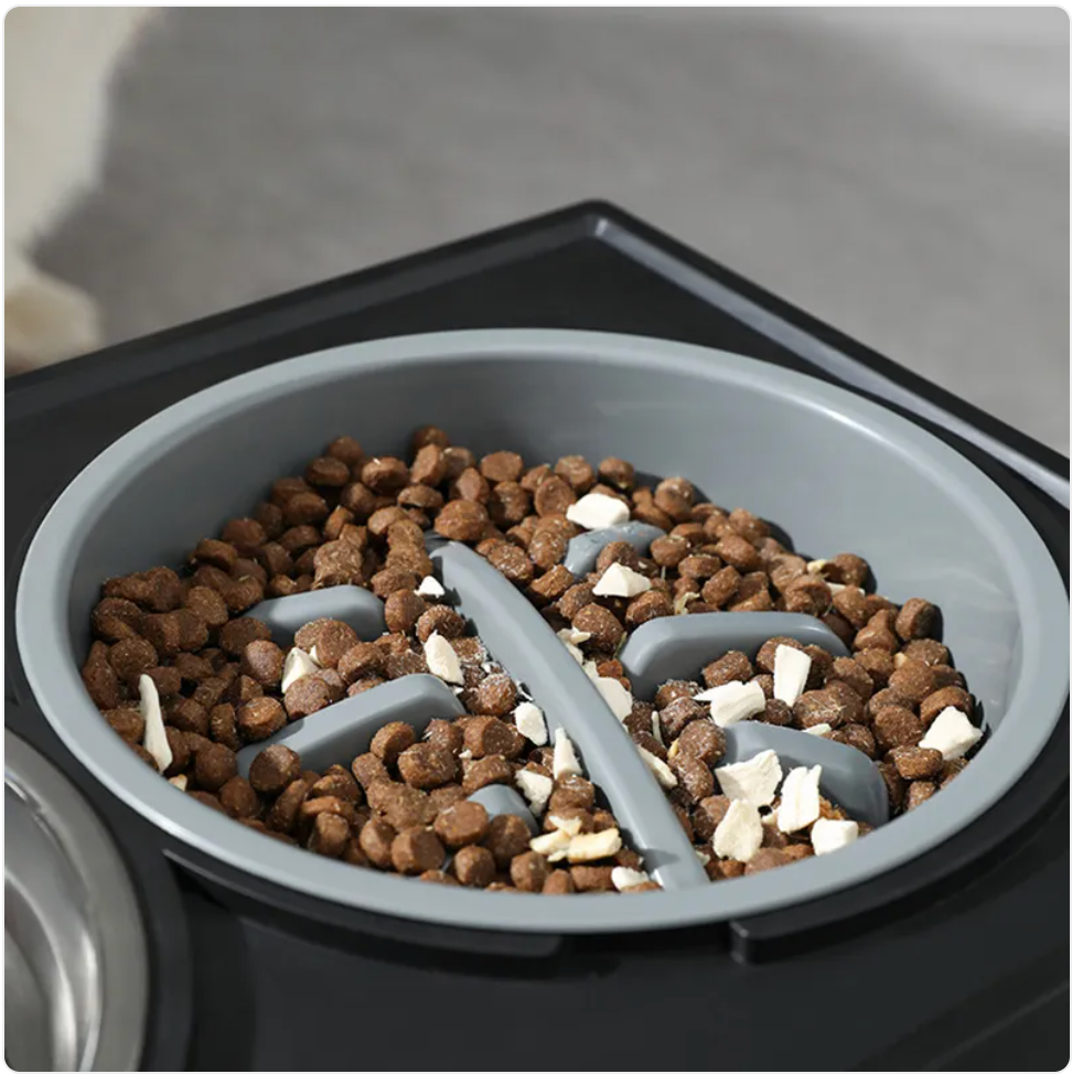 Adjustable Elevated Slow-Feed Dog Bowl